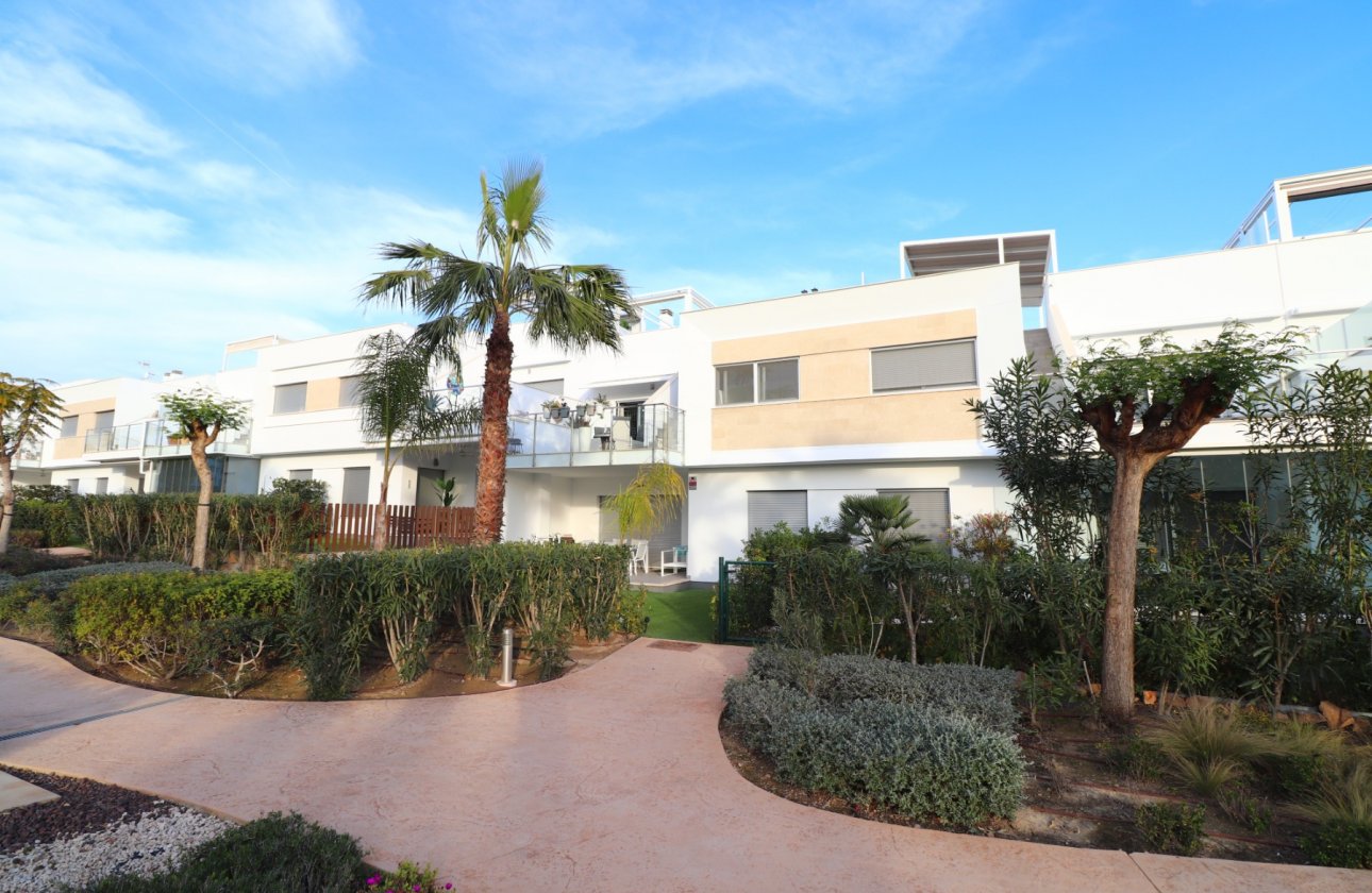 Apartment - Resale - Los Montesinos - Entre Naranjos / Vistabella Golf