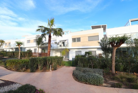 Apartment - Reventa - Los Montesinos - Entre Naranjos / Vistabella Golf