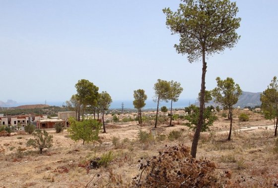 Comercial - Reventa - Benidorm - Benidorm