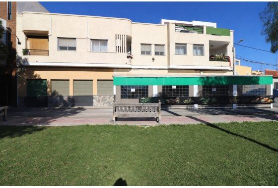 Comercial - Reventa - Catral - Catral - Town