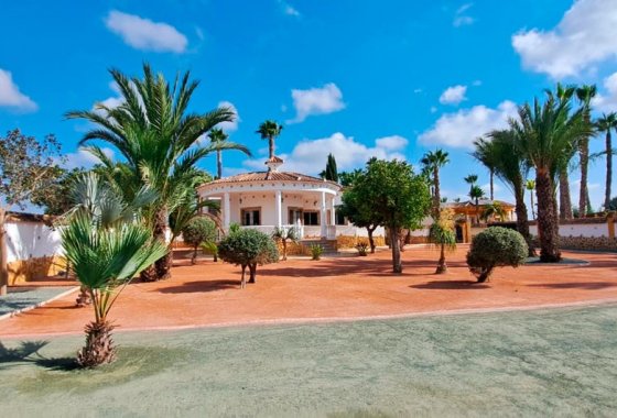 Country House - Resale - Catral - Catral - Country