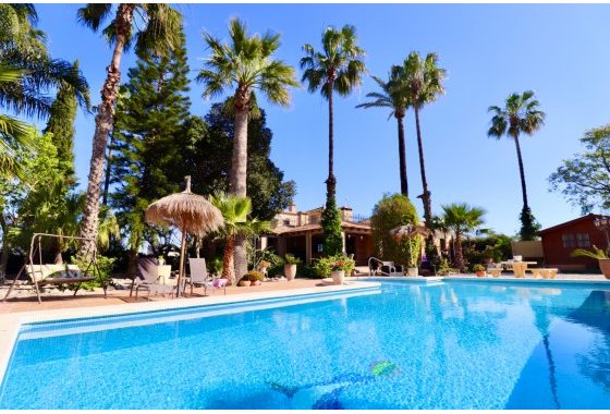 Country House - Resale - Rojales - MDA-85136