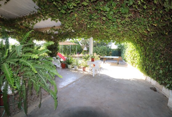 Country House - Reventa - Albatera - Albatera