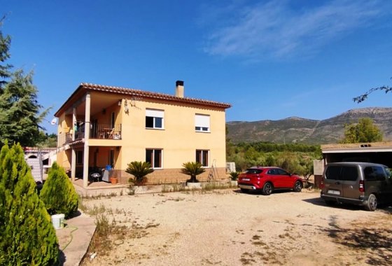 Country House - Reventa - Alcocer de Planes - Alcocer de Planes