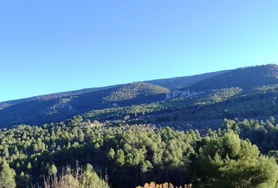 Country House - Reventa - Alcoy - Alcoy