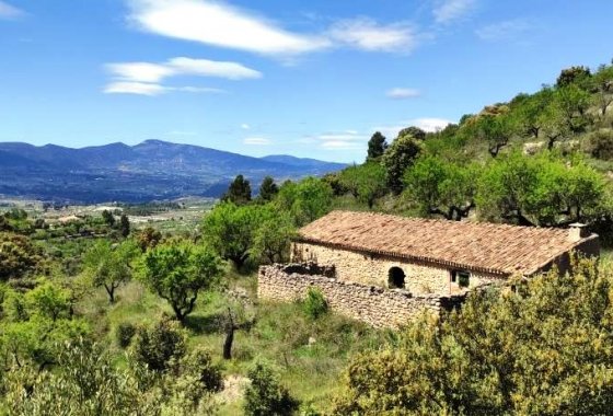 Country House - Reventa - Benasau - Benasau