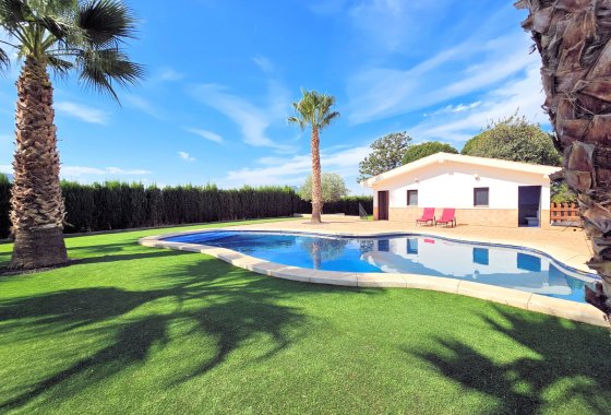 Country House - Reventa - Yecla - Yecla