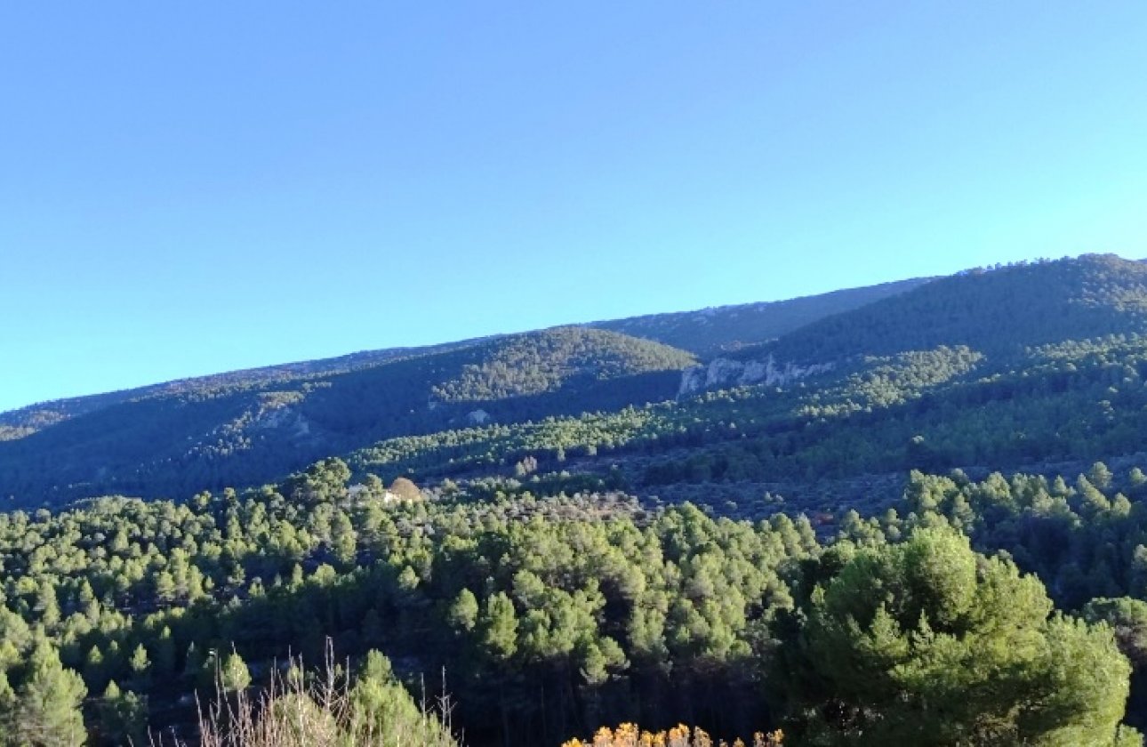 Country House - Wiederverkauf - Alcoy - Alcoy