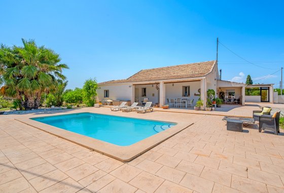 Country House - Wiederverkauf - Elche - Elche