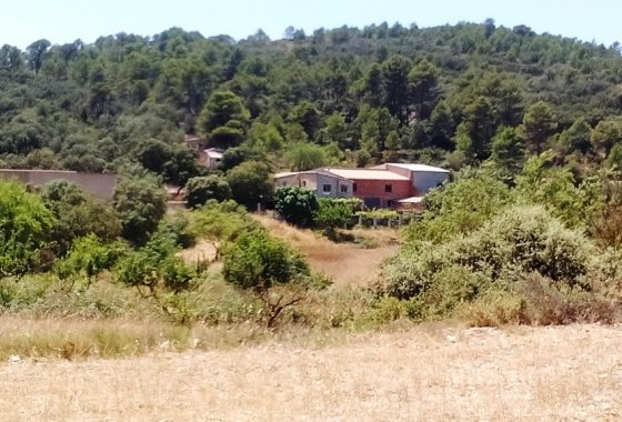 Country House - Wiederverkauf - Penáguila - Penáguila