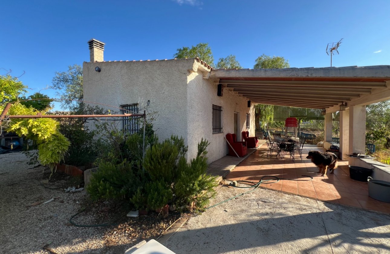 Finca/Rustic Property - Resale - Sax - Sax