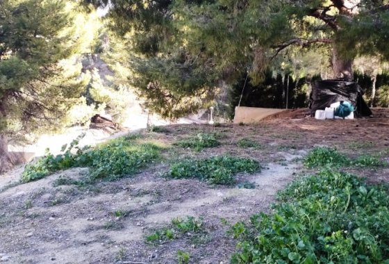 Land - Resale - Cocentaina - Cocentaina