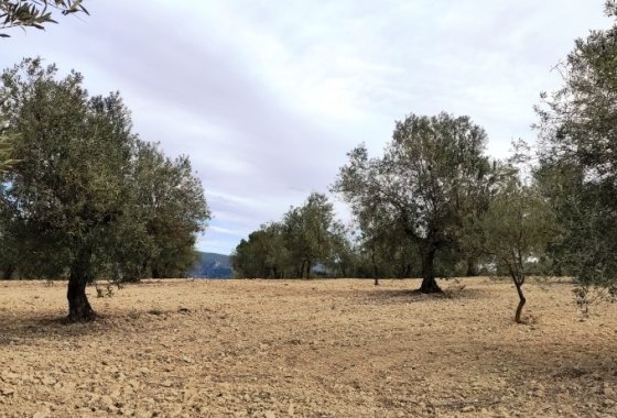 Land - Resale - Penáguila - Penáguila