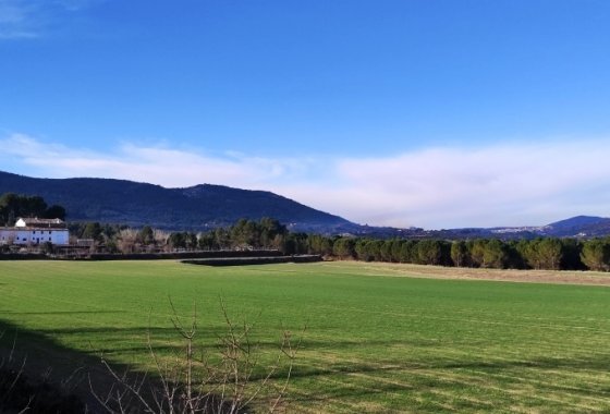 Land - Reventa - Alfafara - Alfafara