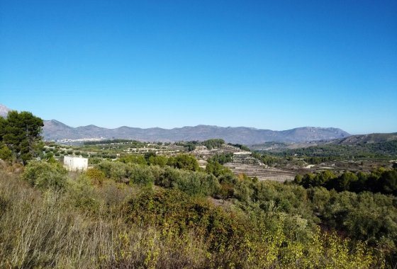 Land - Reventa - Benillup - Benillup