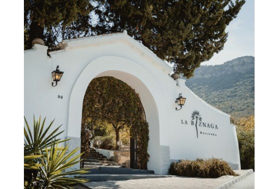 Land - Reventa - Cartama - Cartama