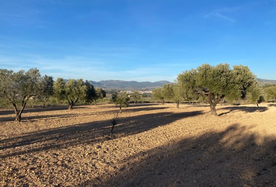 Land - Reventa - Elda - MDA-18644