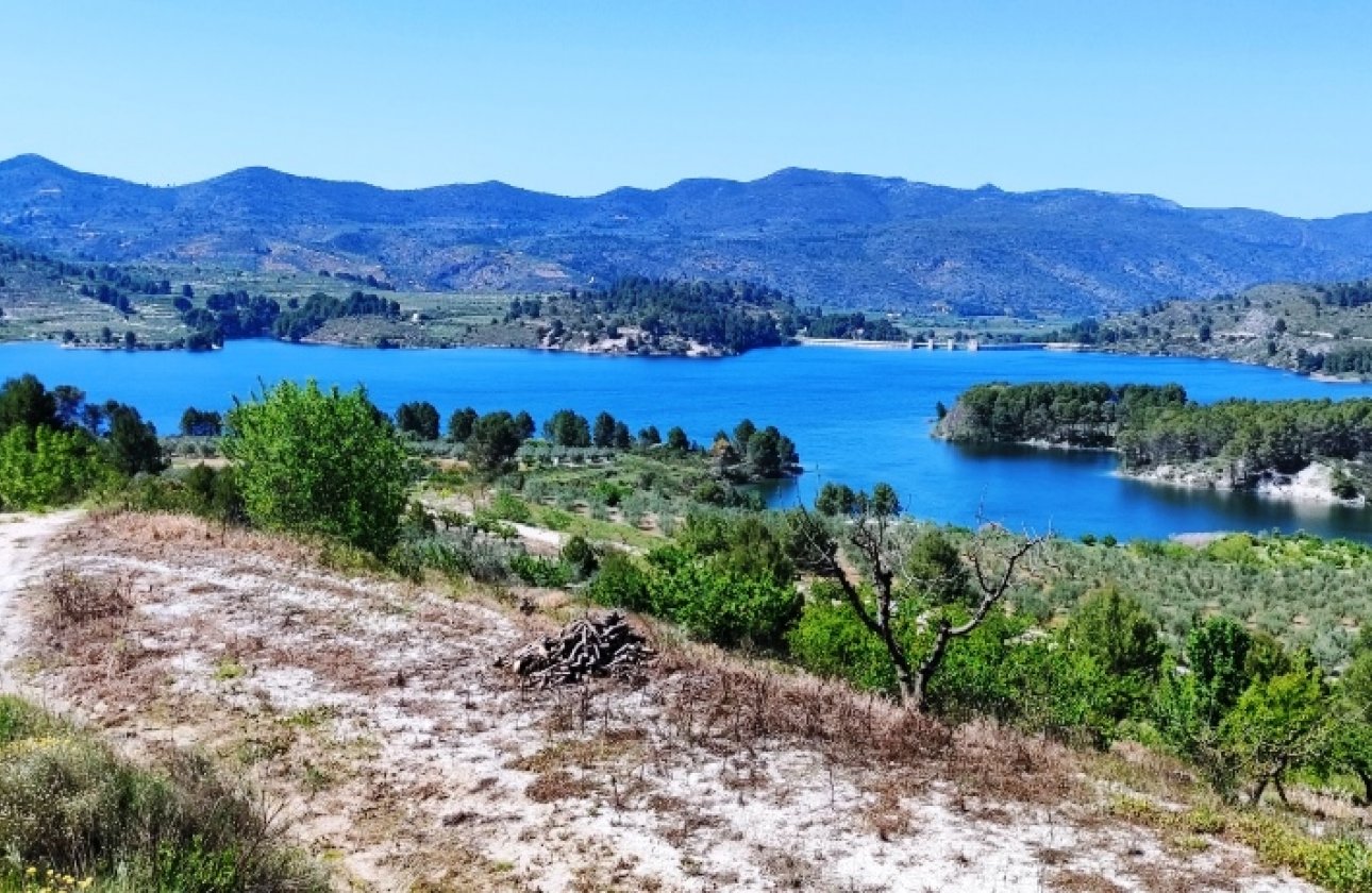 Land - Reventa - Planes - Planes