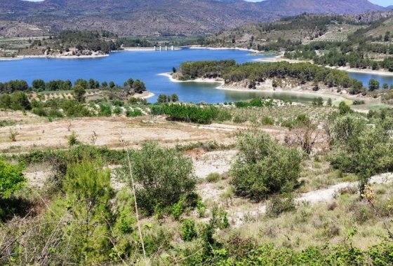 Land - Reventa - Planes - Planes