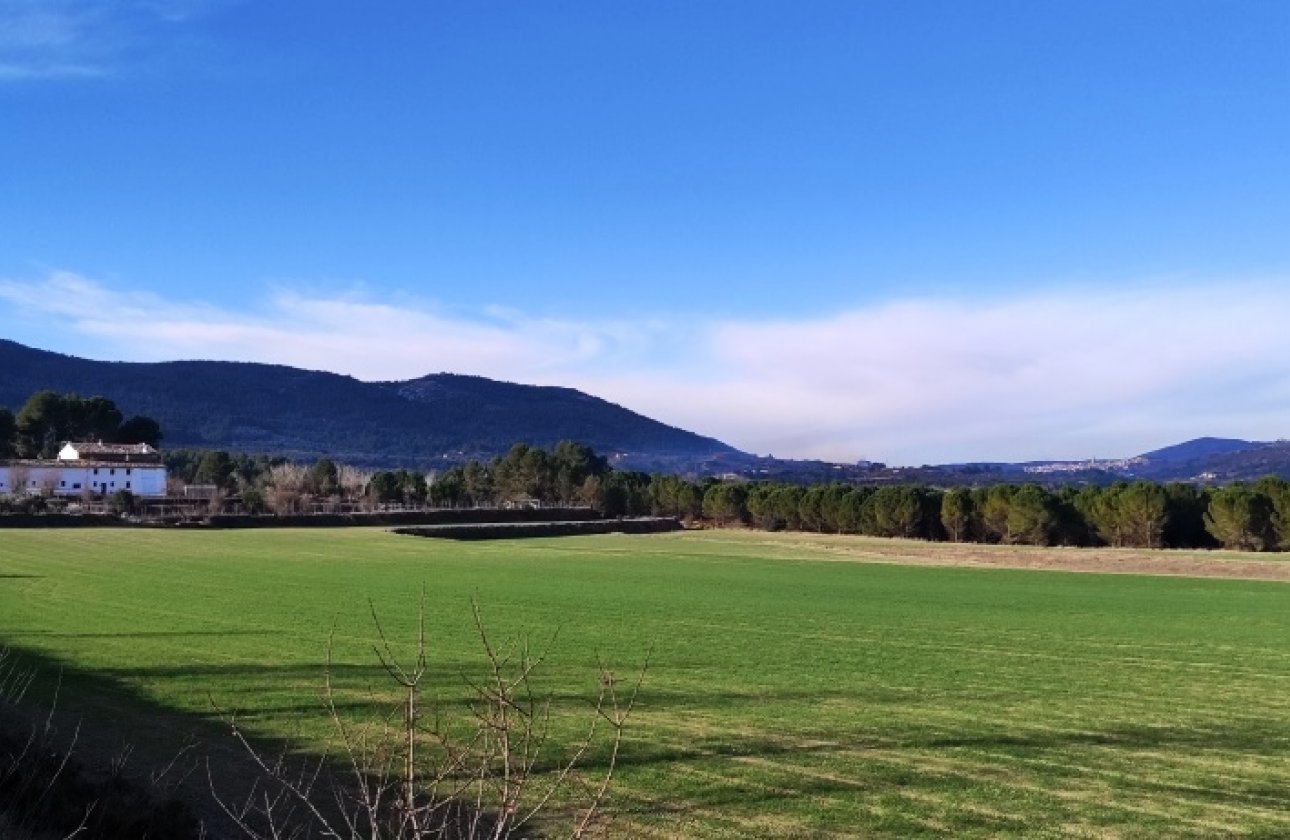 Land - Wiederverkauf - Alfafara - Alfafara