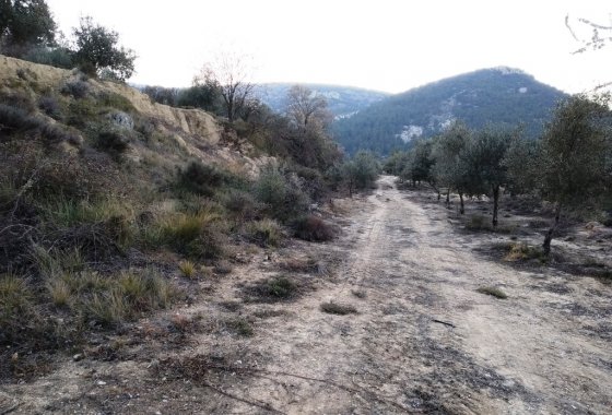 Land - Wiederverkauf - Benifallim - Benifallim