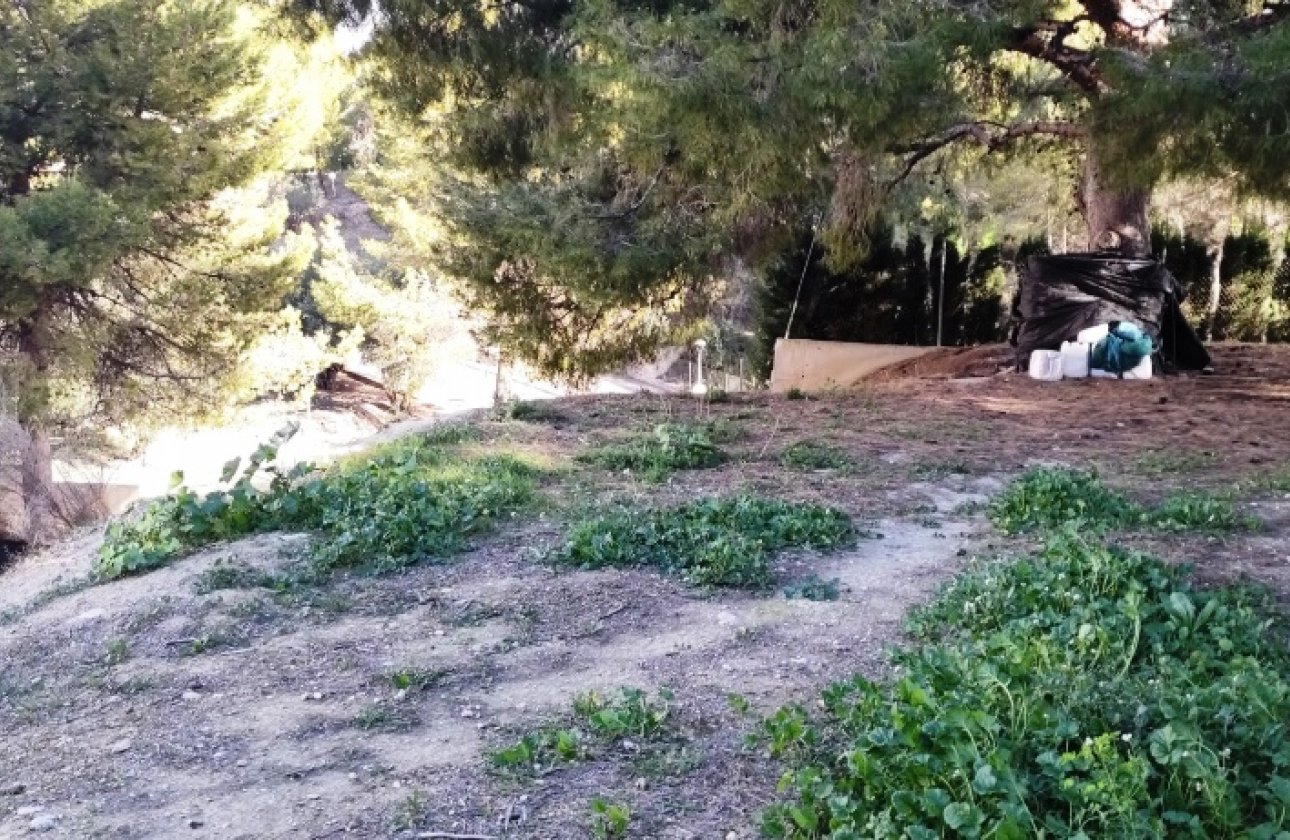 Land - Wiederverkauf - Cocentaina - Cocentaina