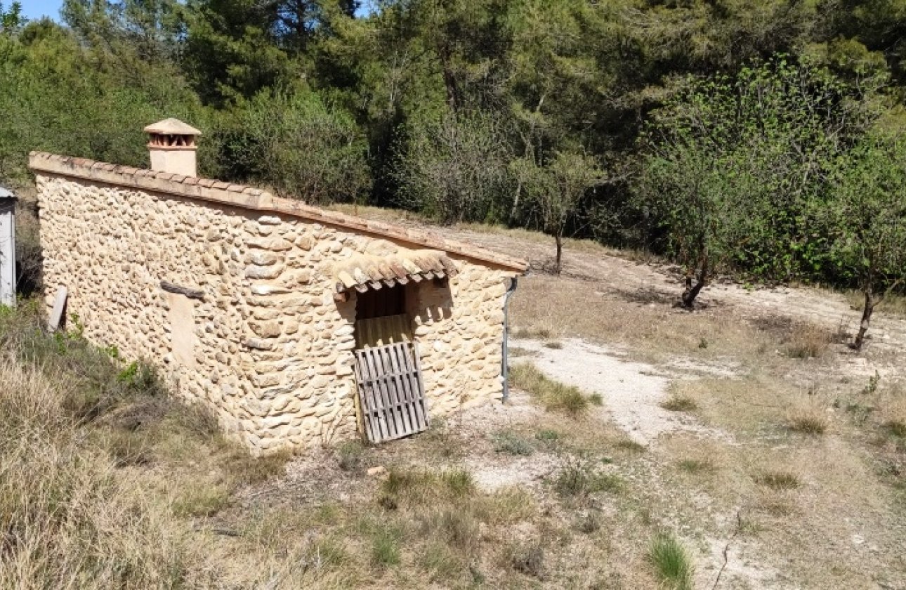 Land - Wiederverkauf - Penáguila - Penáguila