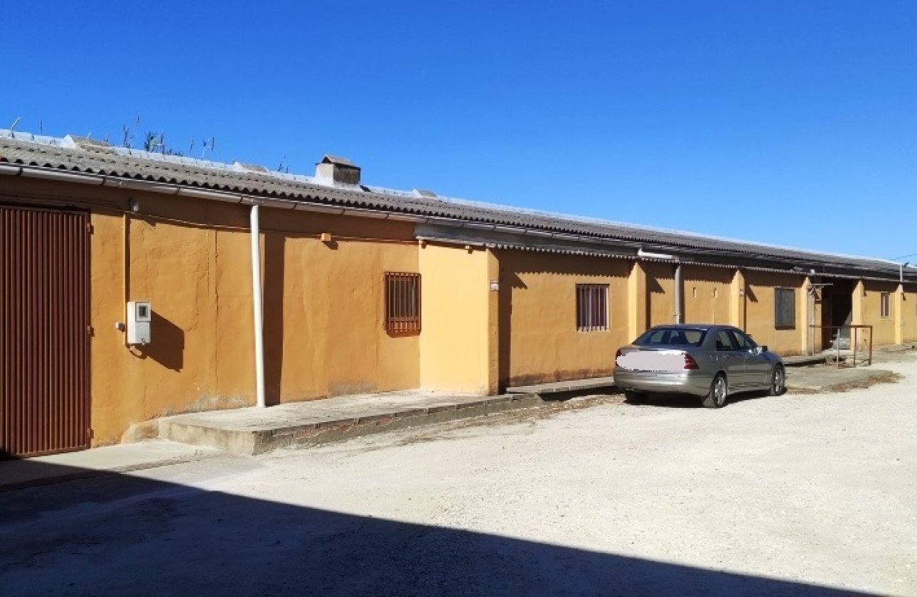 Others - Wiederverkauf - Ontinyent - Ontinyent