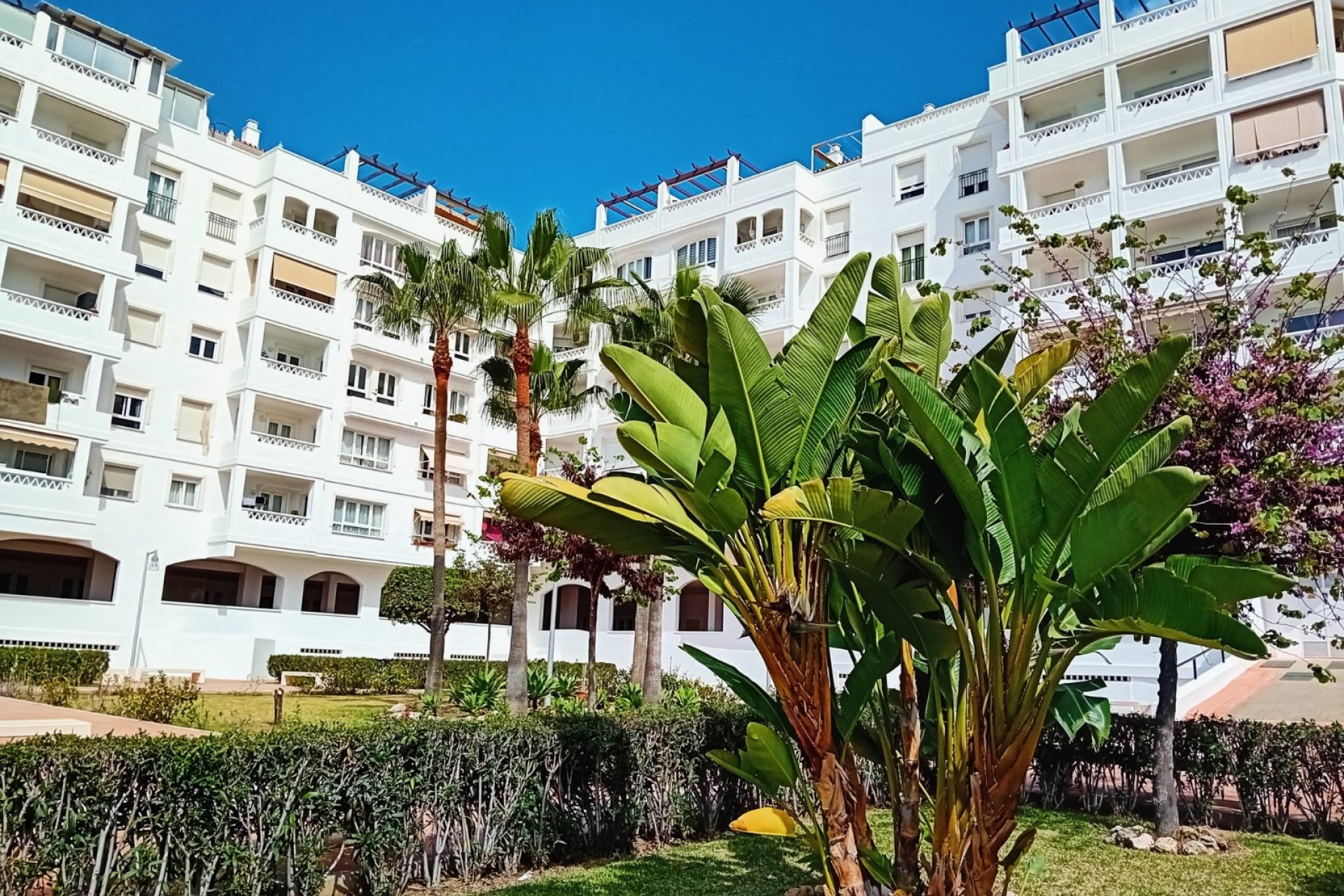 Resale - Apartment - Marbella - Nueva Andalucía