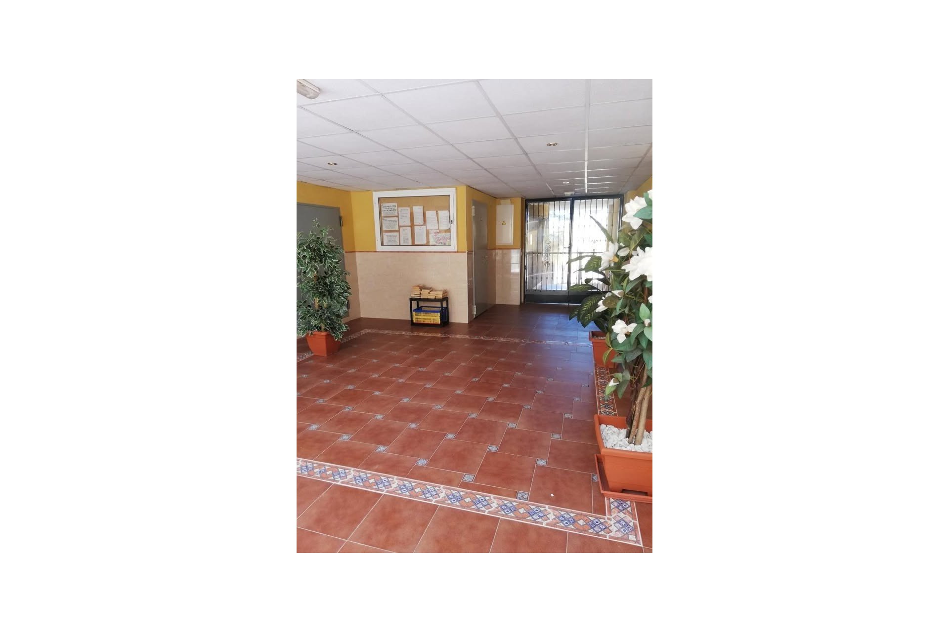 Resale - Apartment - Rafal