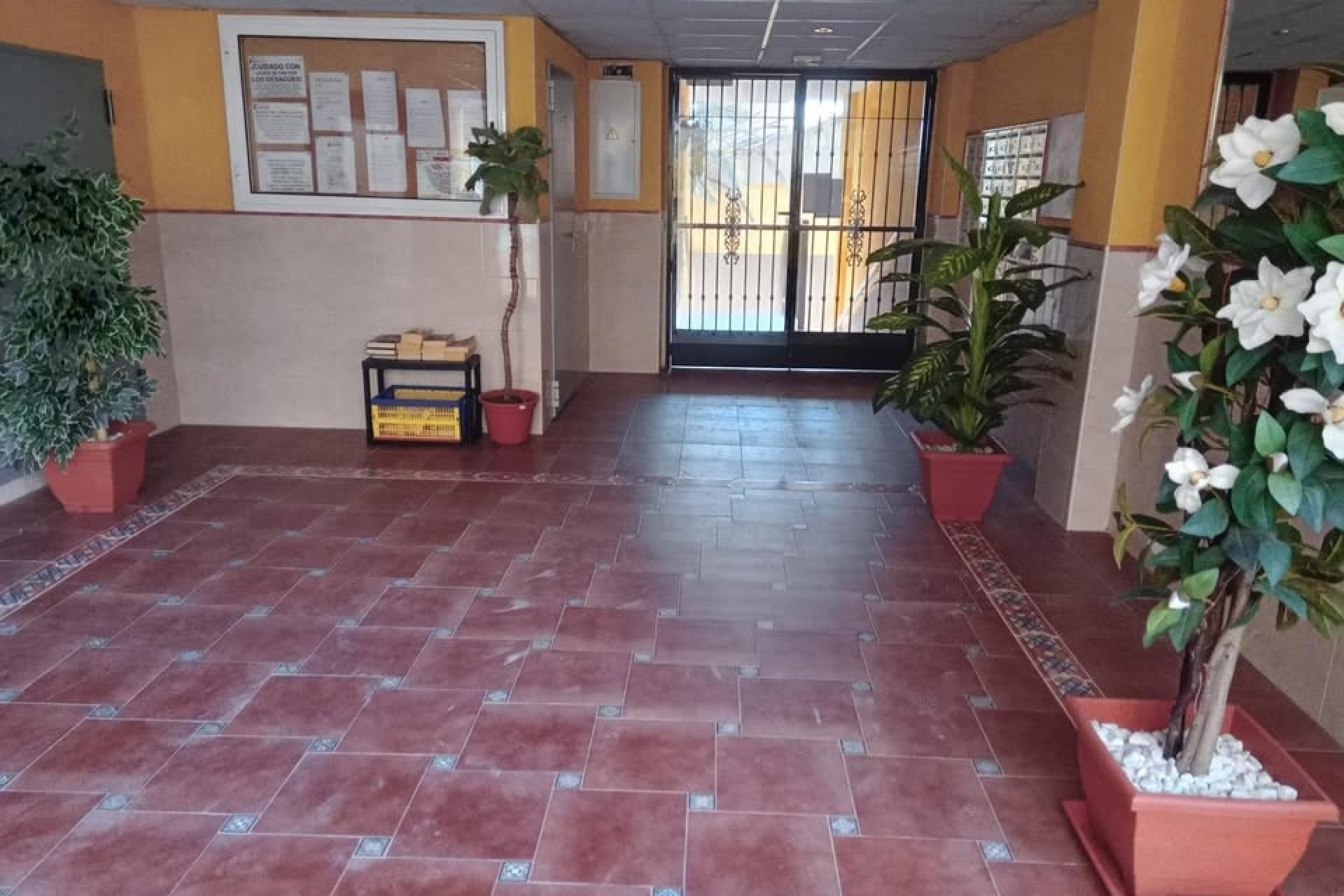 Resale - Apartment - Rafal