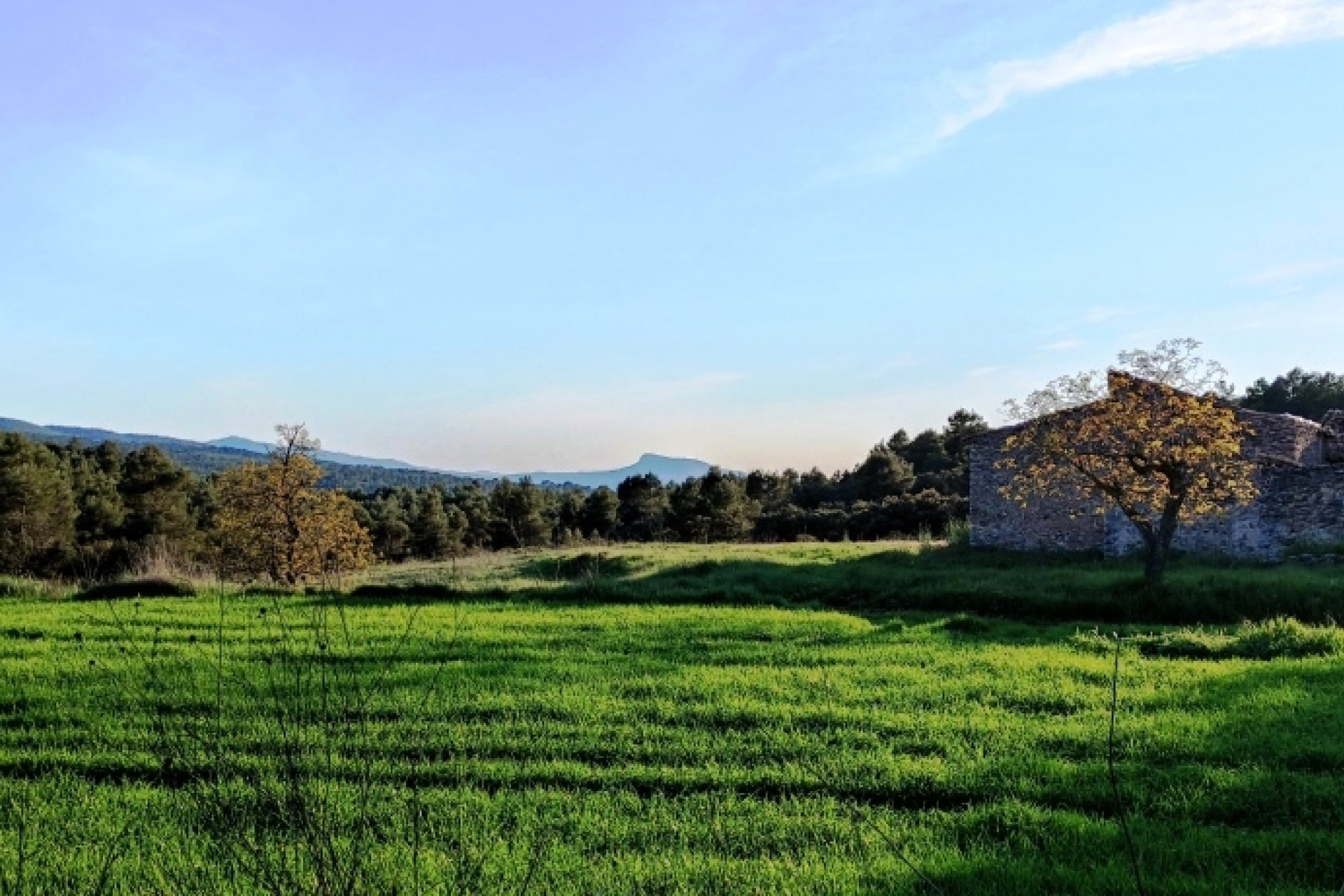 Resale - Country House - Bocairent