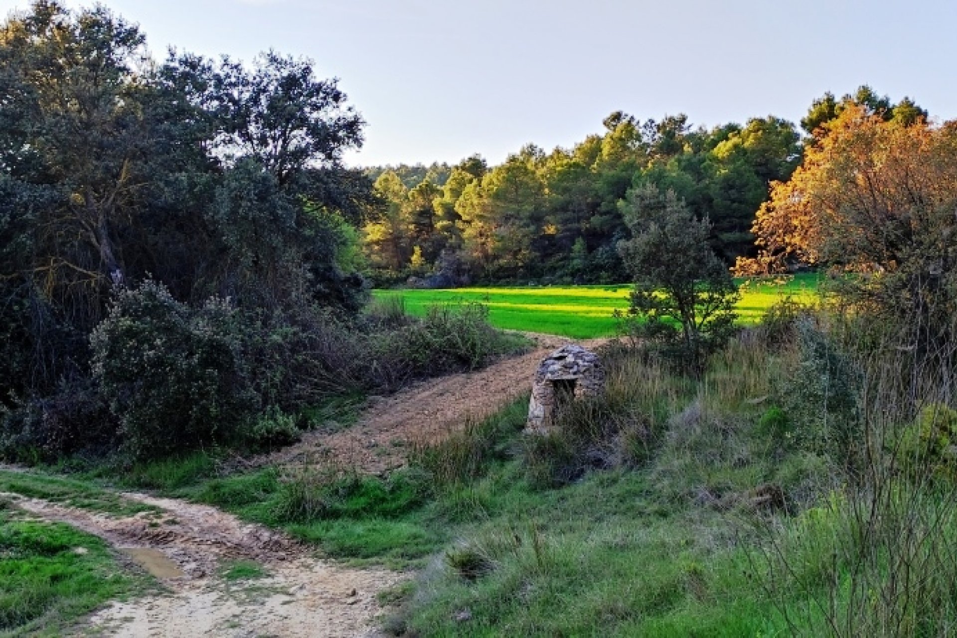 Resale - Country House - Bocairent