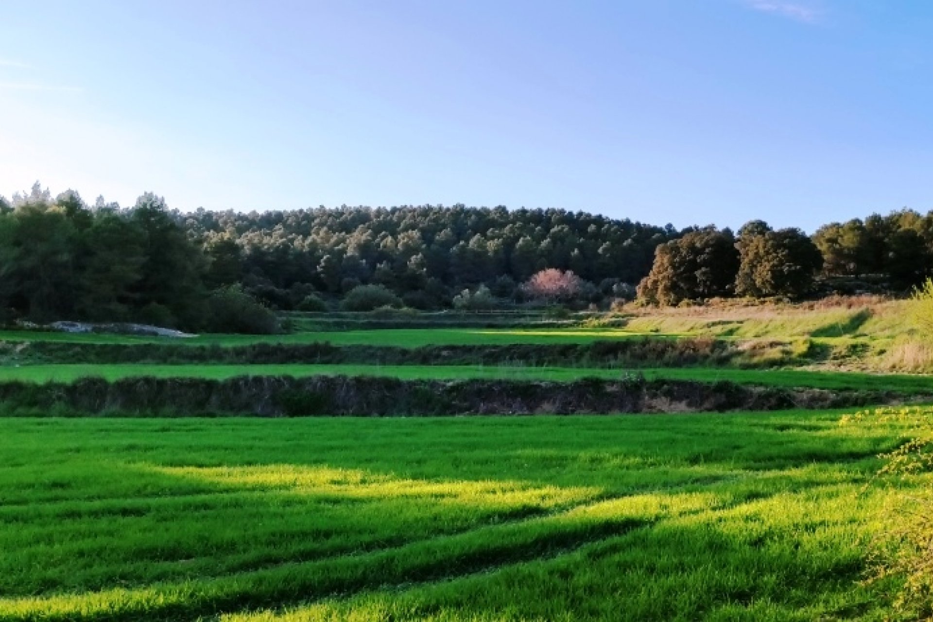 Resale - Country House - Bocairent