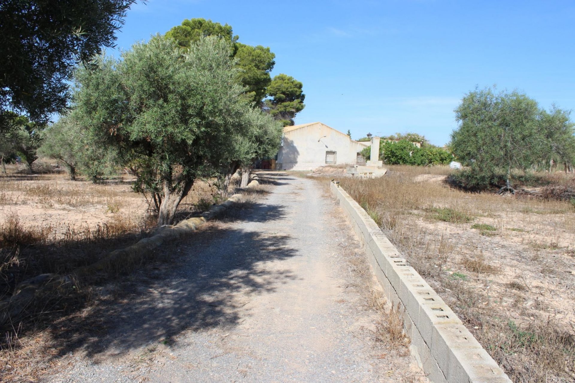 Resale - Country House - Elche - Altabix