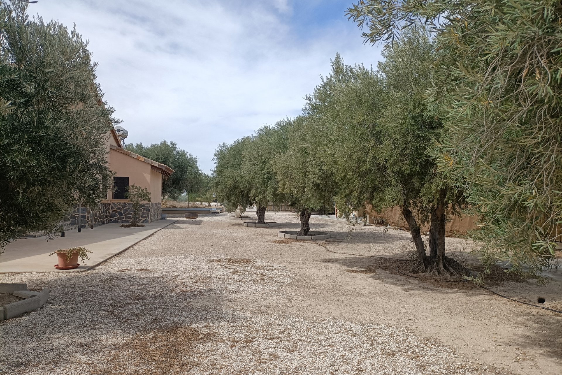 Resale - Country House - Elche - Jubalcoi