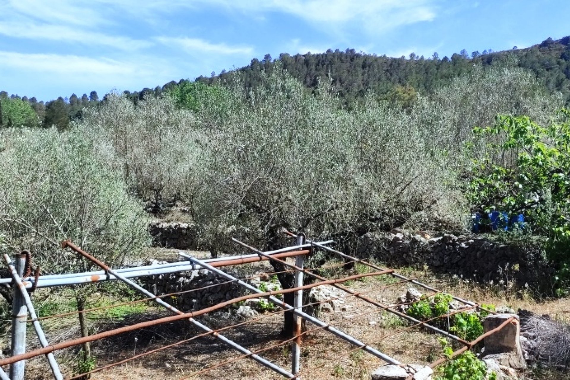 Resale - Country House - Villalonga