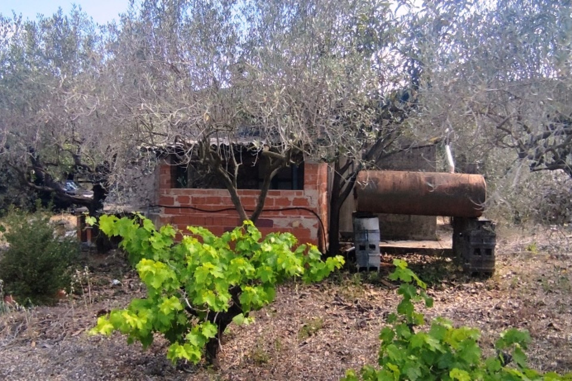 Resale - Country House - Villalonga