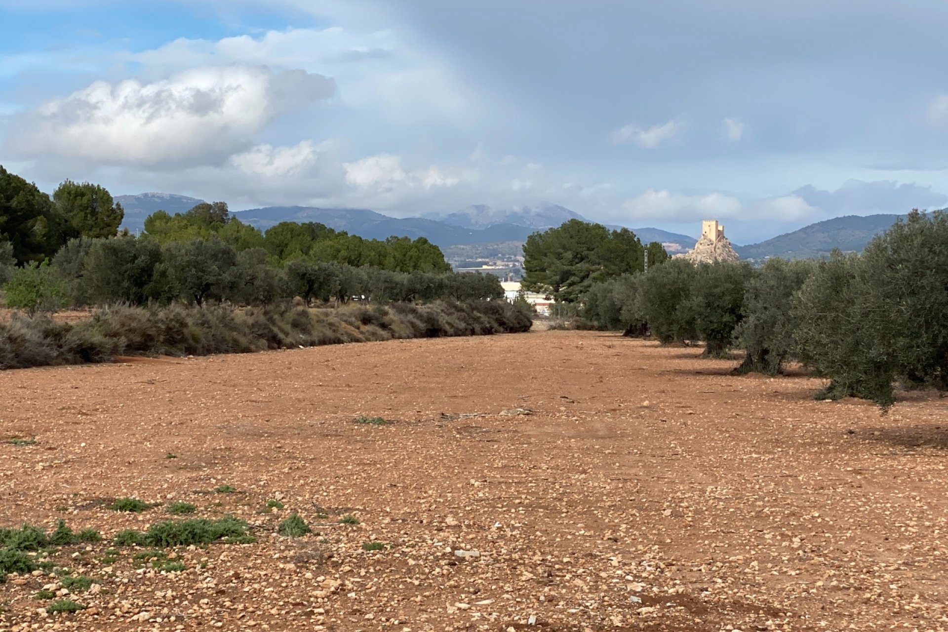 Resale - Finca/Rustic Property - Sax