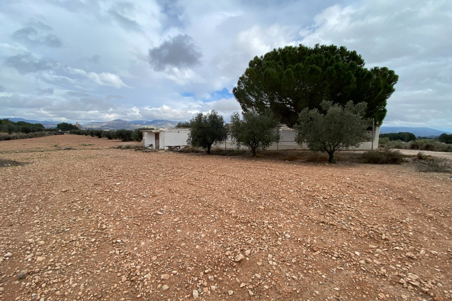 Resale - Finca/Rustic Property - Sax