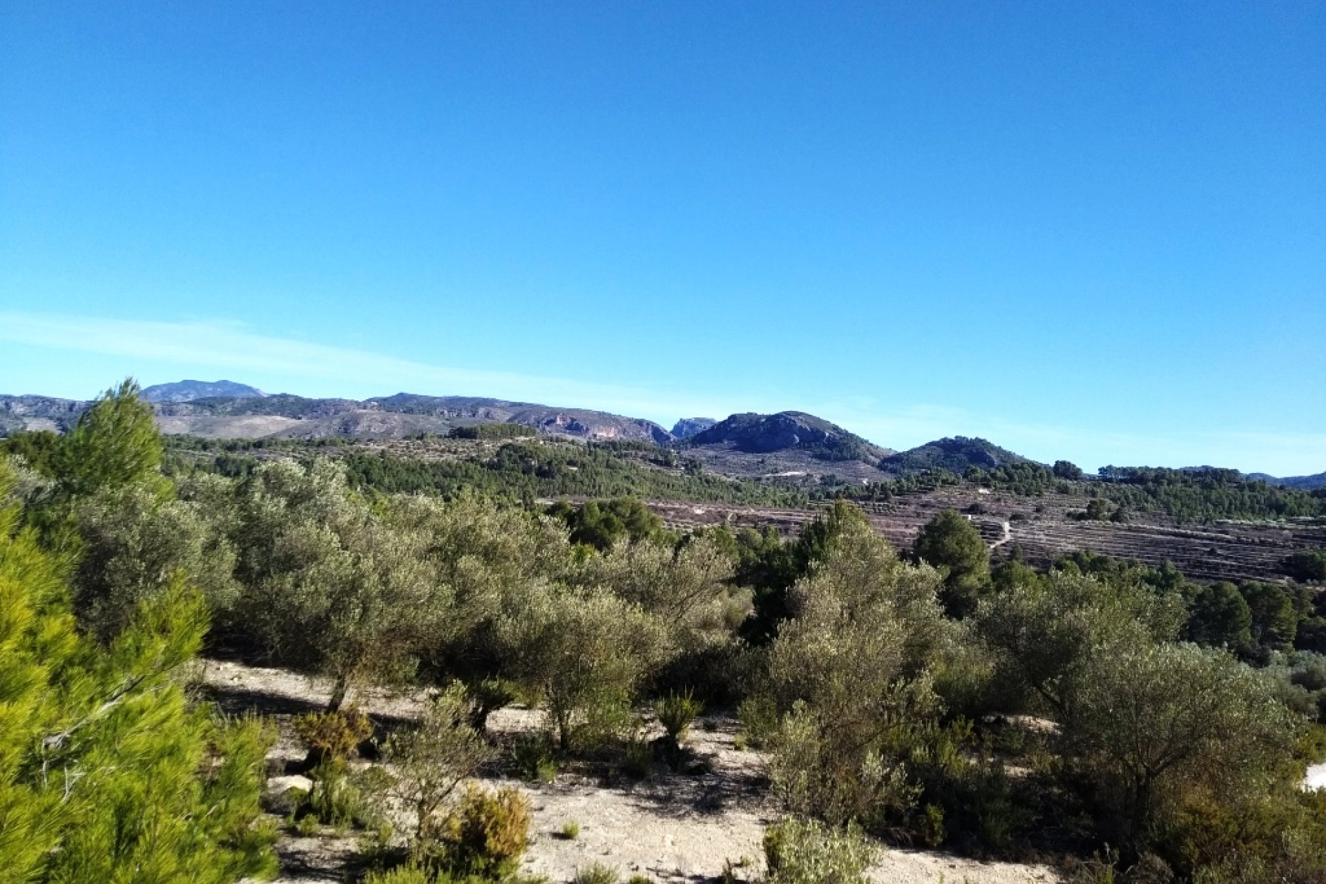 Resale - Land - Benimarfull