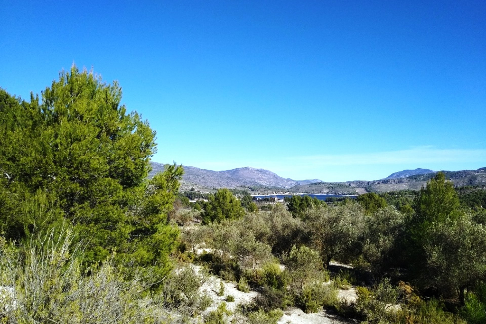 Resale - Land - Benimarfull