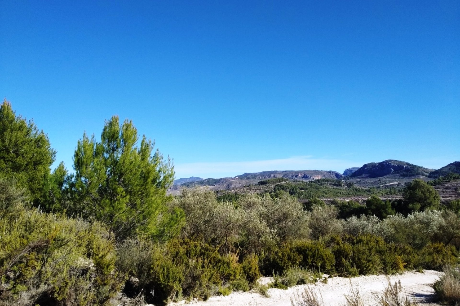 Resale - Land - Benimarfull