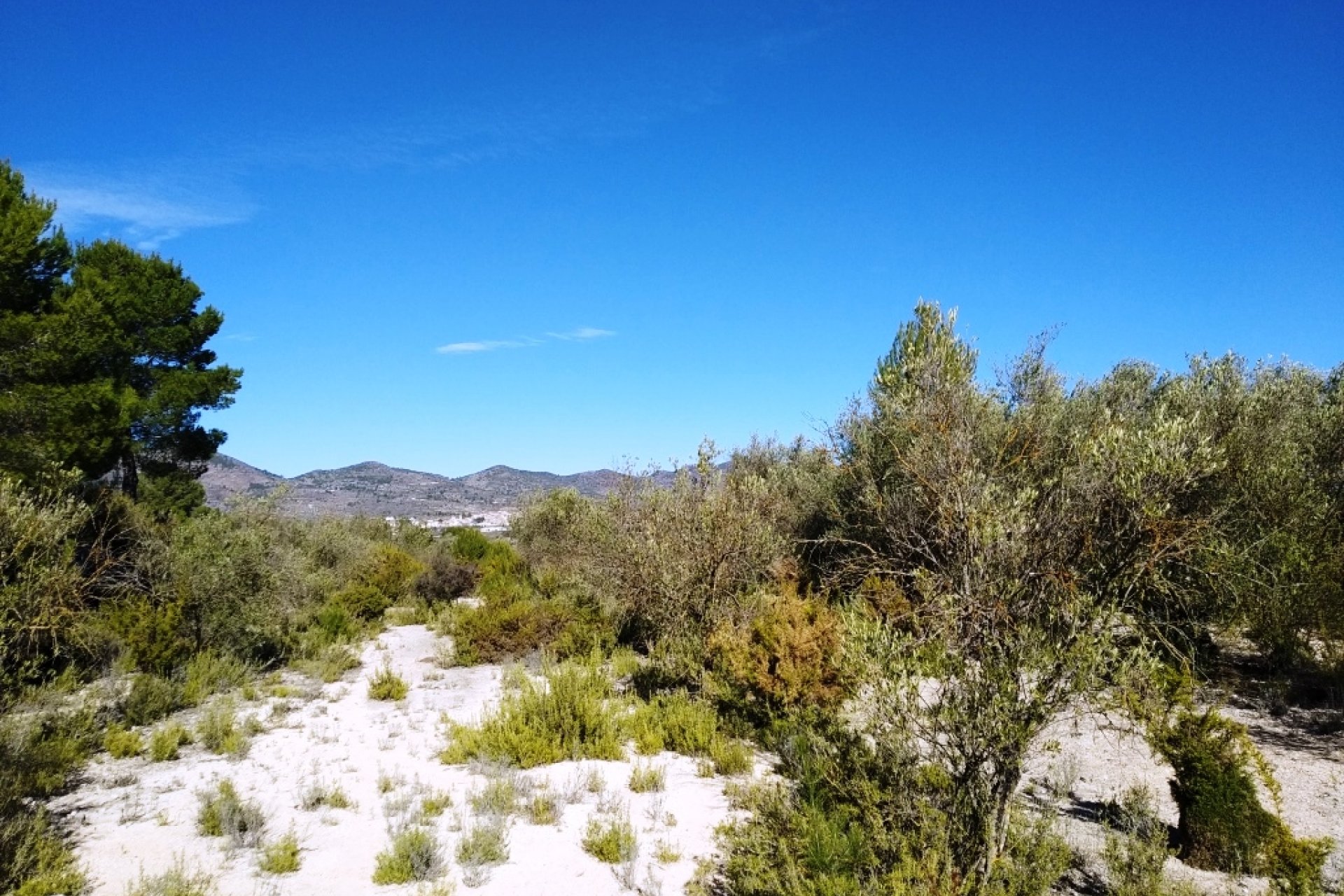 Resale - Land - Benimarfull