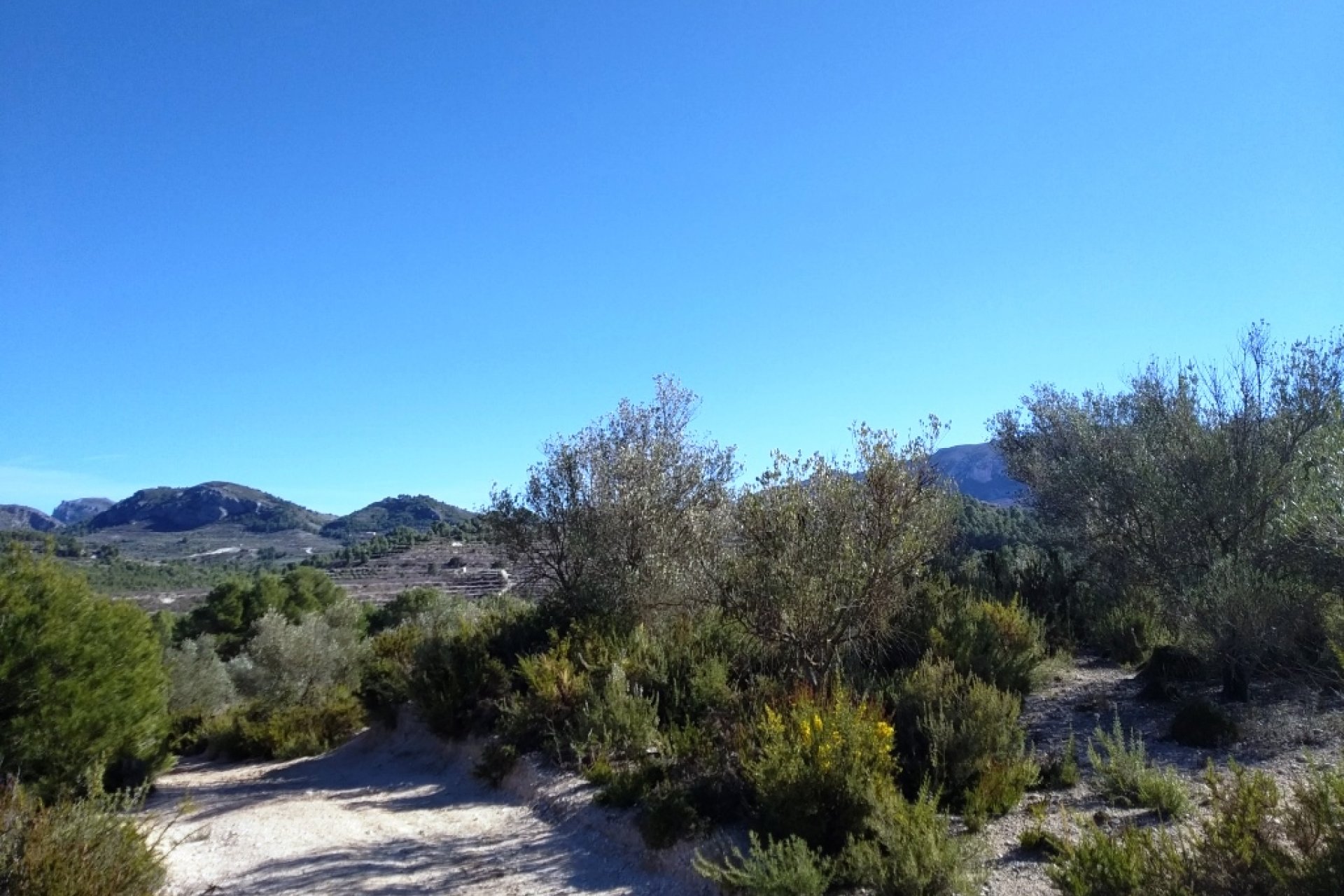 Resale - Land - Benimarfull