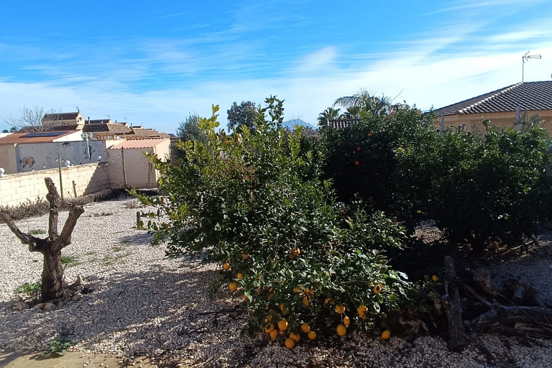 Resale - Villa - Fortuna