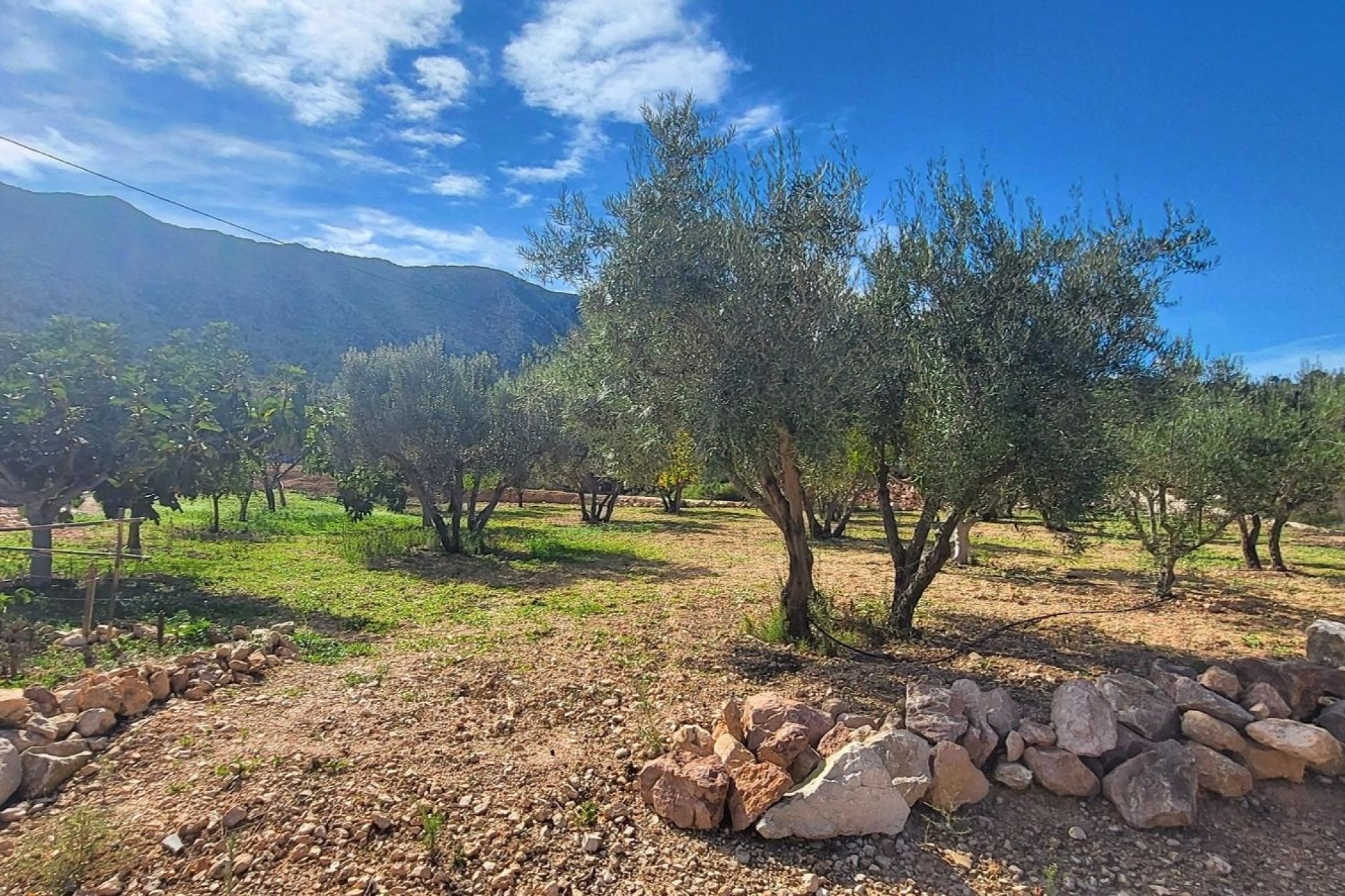 Resale - Villa - La Romana