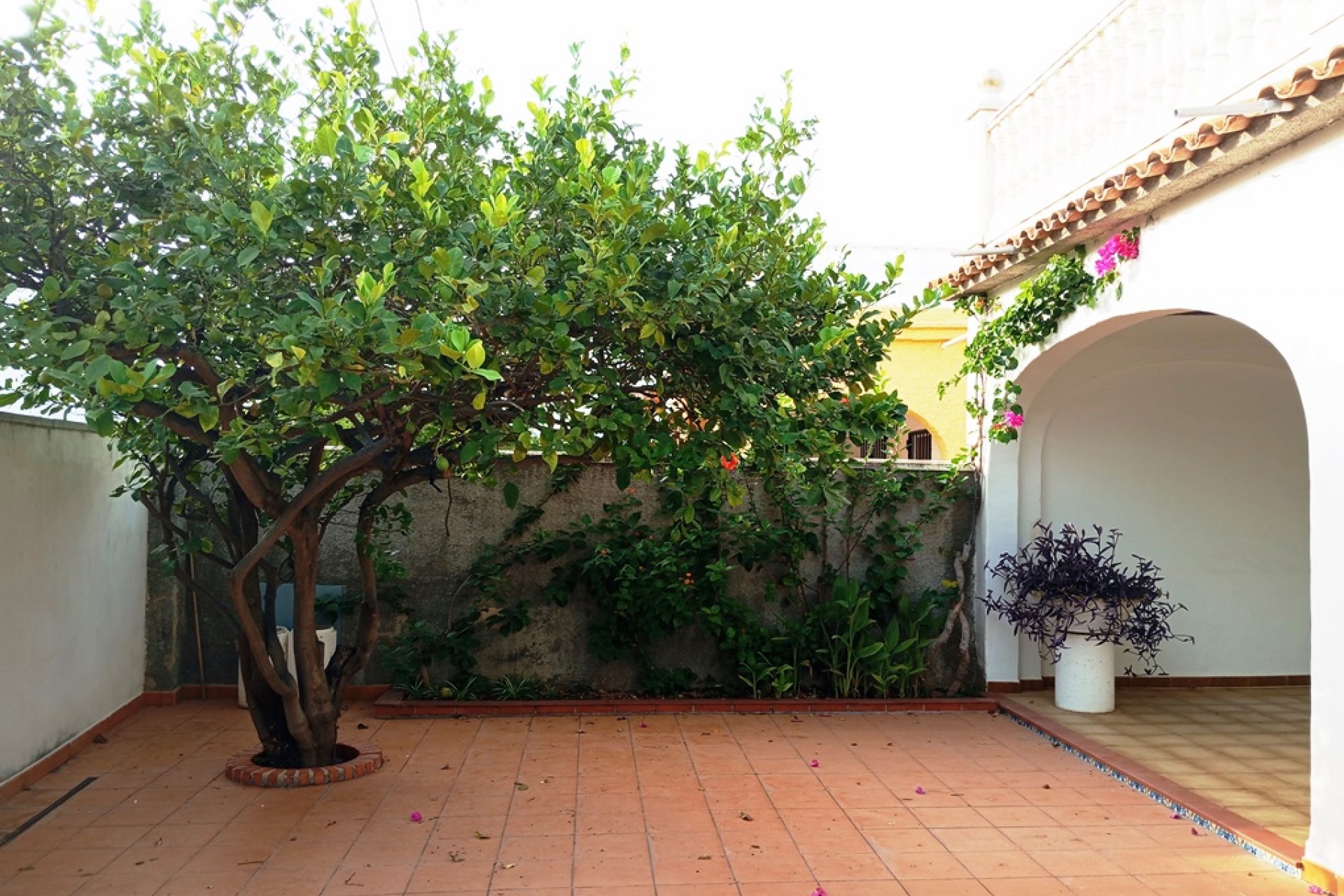 Resale - Villa - Oliva
