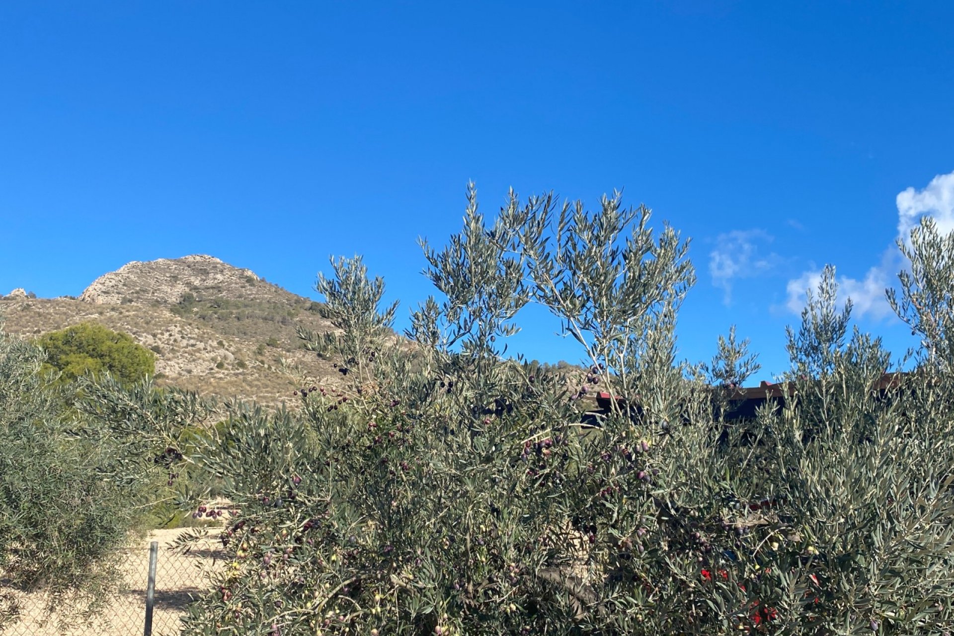 Resale - Villa - Sax