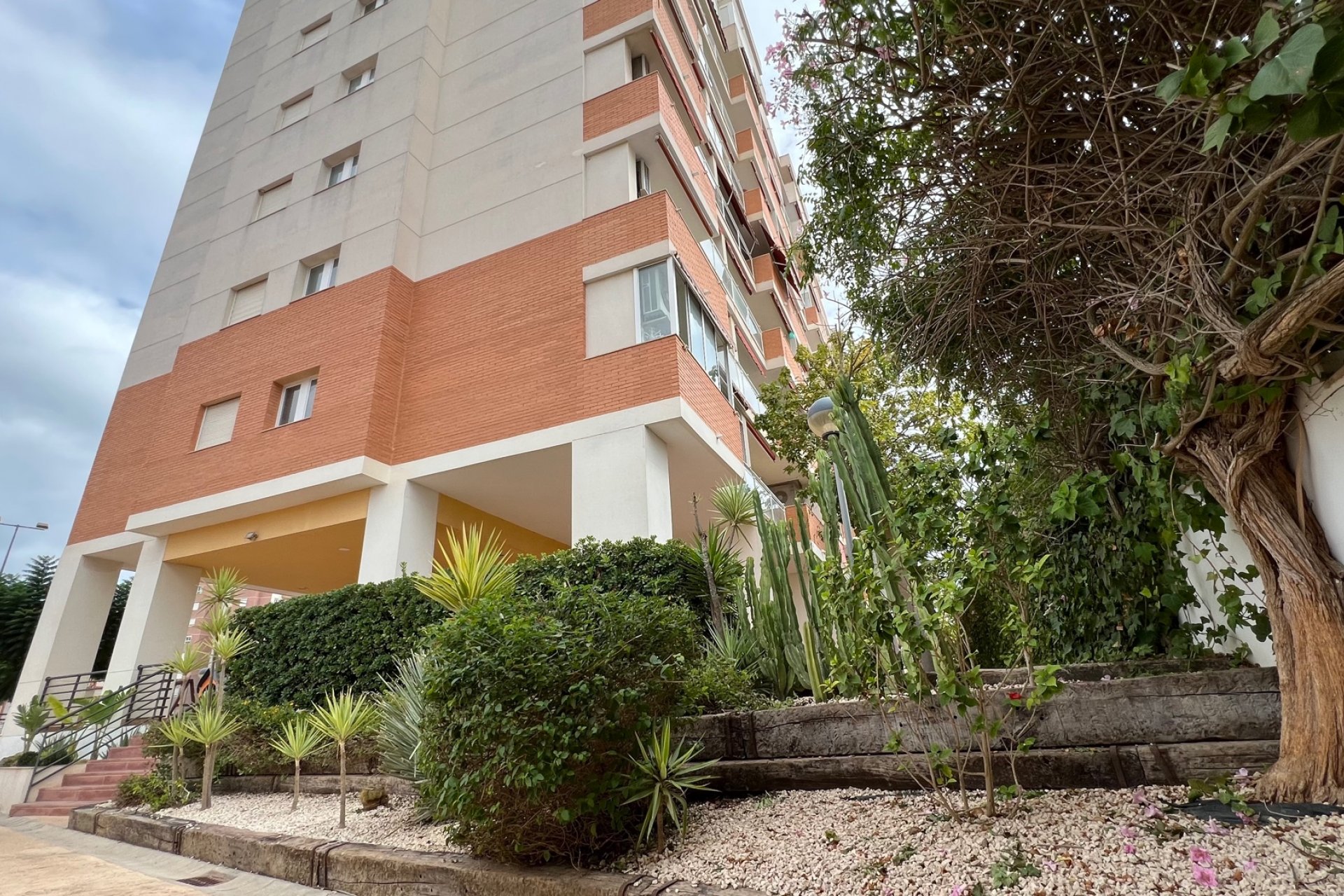 Reventa - Apartment - Guardamar del Segura - Puerto